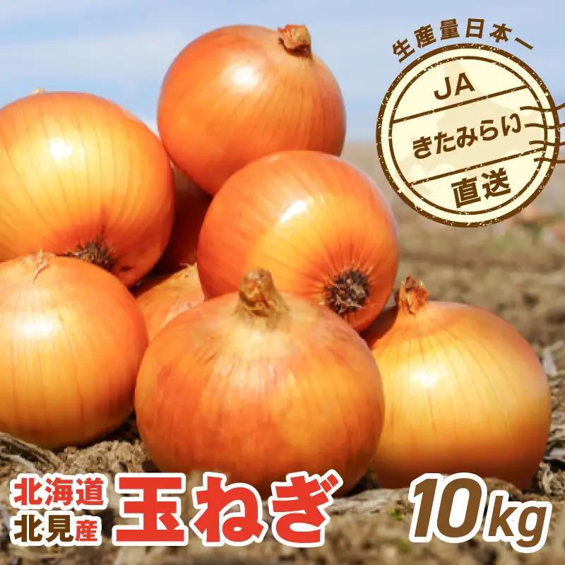 【予約：2026年9月上旬から順次発送】JAきたみらい産 玉ねぎ Lサイズ 10kg ( タマネギ たまねぎ 野菜 )【210-0003-2026】