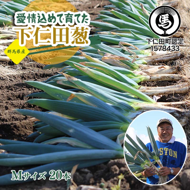 【ふるさと納税】愛情込めて育てた下仁田葱（Mサイズ 20本） とろける 甘い ねぎ ネギ 王様ねぎ 殿様ねぎ 特産 栄養たっぷり ブランド 上州ねぎ すきやき F21K-671
