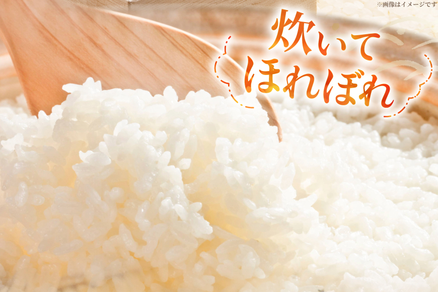米 令和7年産 特別栽培米 つや姫 10kg (2.5kg×4袋) [齋藤 文芳 山形県 高畠町 tk06biz810000] コメ ご飯 ごはん お米 ブランド米