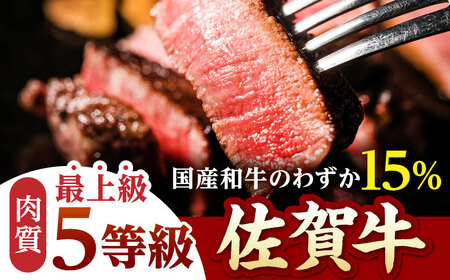 【A5ランクの超希少部位】佐賀牛 A5 シャトーブリアン 400g（200g×2枚）【山下牛舎】佐賀牛 牛肉 黒毛和牛 佐賀牛 牛肉 ヒレ 佐賀牛 牛肉 ステーキ 佐賀牛 牛肉 フィレ 佐賀牛 牛肉 