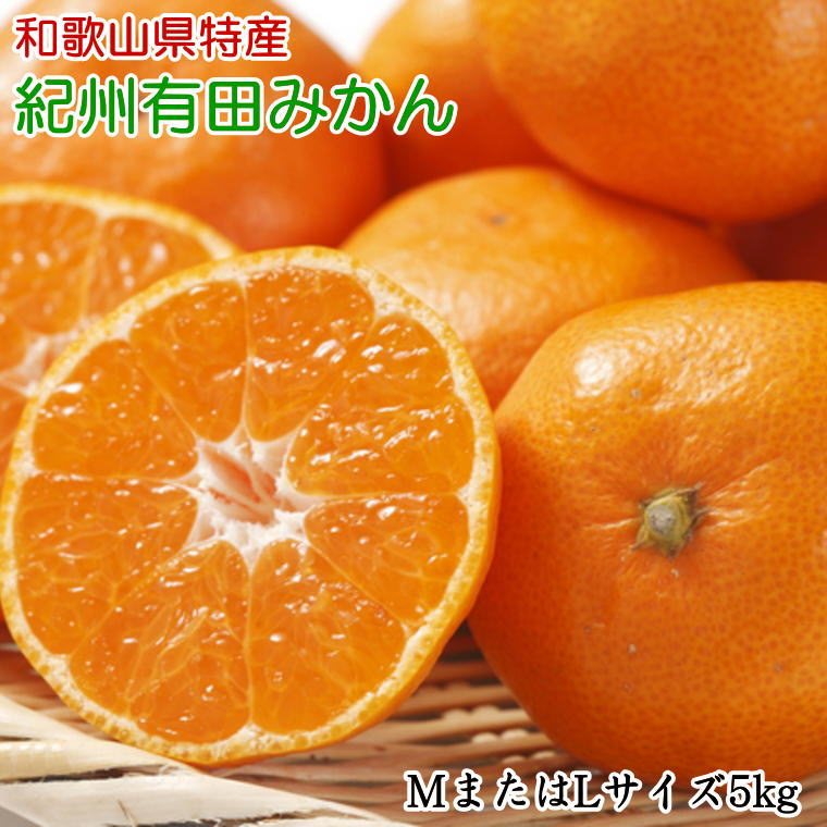 【ふるさと納税】 [秀品]和歌山有田みかん 5kg(MサイズまたはLサイズのいずれか) ※2025年11月中旬～2026年1月中旬頃順次発送予定（お届け日指定不可）
