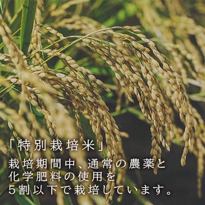 ふるさと納税 知内町 【令和7年産新米予約】「ゆきさやか10kg」特別栽培米産地直送《帰山農園》 |  | 01
