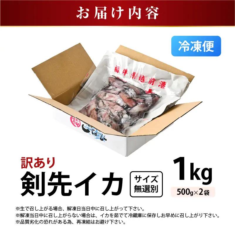 【ふるさと納税】【急速冷凍】【訳あり】生いか 天然ケンサキイカ サイズ無選別 1kg（500g × 2袋） [e15-a062]