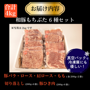 【6種】豚肉 バラエティセット 4kg 豚肉 katayama008