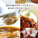 【ふるさと納税】ちきゅうや「むらのあか牛ビーフシチュー×2」と「むらのハヤシルー×2」4食セット《30日以内に出荷予定(土日祝除く)》 熊本県南阿蘇村 ハヤシルー ビーフシチュー