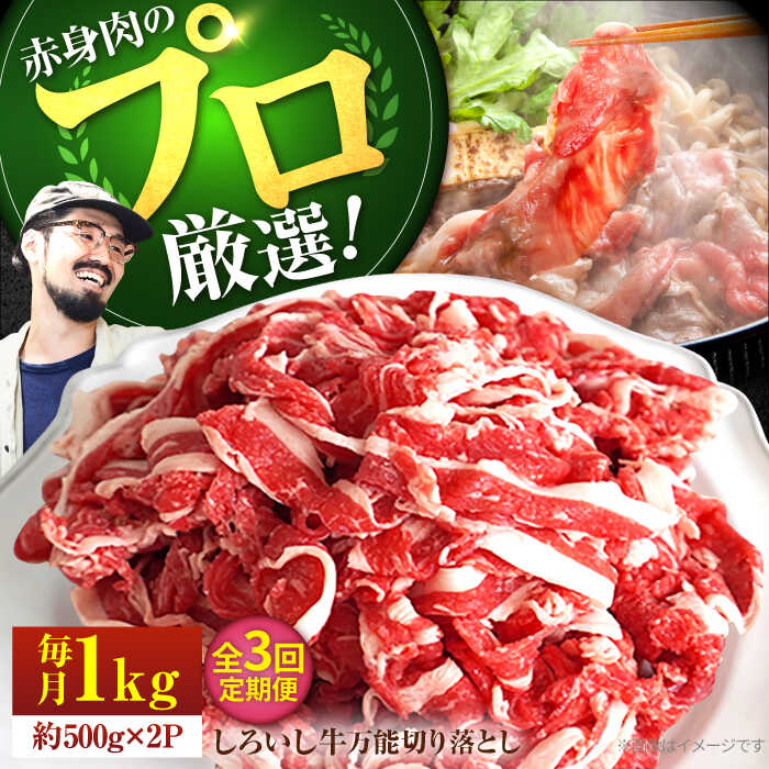 【ふるさと納税】【牧場直送】【3回定期便】佐賀県産しろいし牛 万能切落し 1kg（500g×2パック）【佐賀セントラル牧場】和牛 国産牛 黒毛和牛 お肉 肉 牛肉 冷凍 切り落とし 佐賀県 白石町 [IAH133]