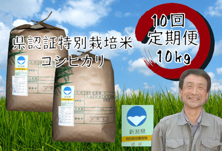 【令和7年産】【10か月定期便】特別栽培米 コシヒカリ 10kg×10回 新潟県認証  1G03401