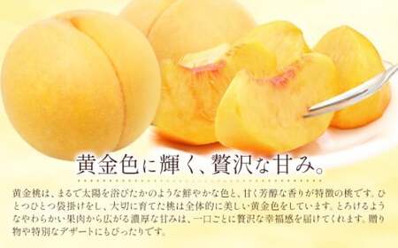 黄金桃 6玉　桃 もも