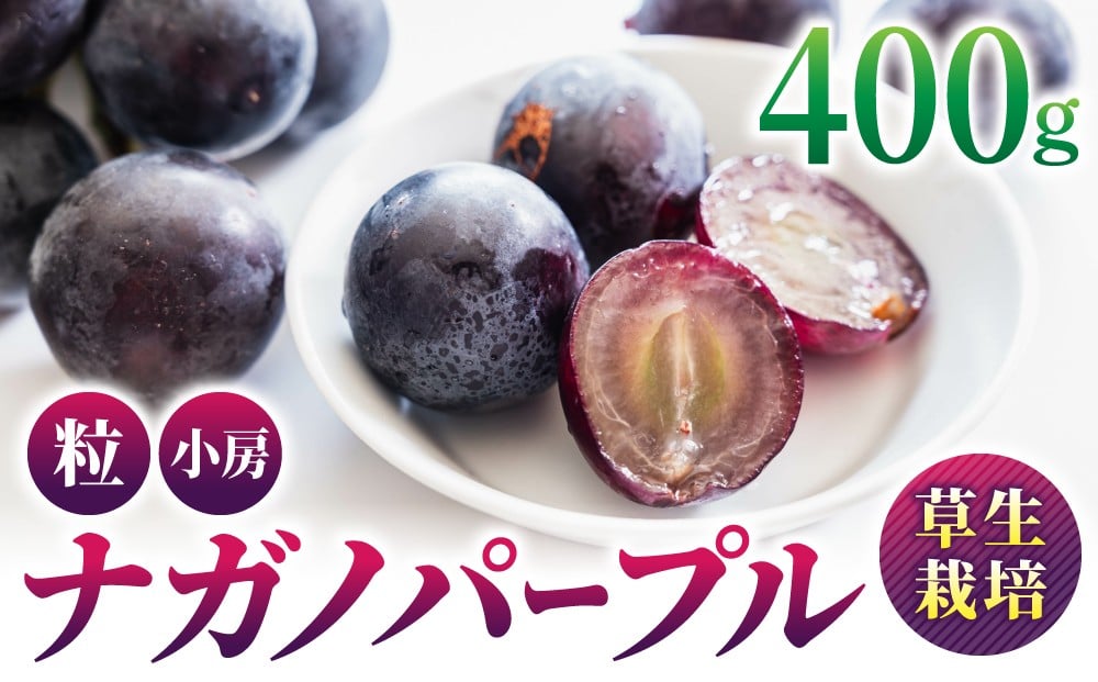 
            ナガノパープル 400g(粒など) 
          
