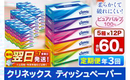 《4ヶ月ごとに3回お届け》定期便 ティッシュ クリネックス ティシュー 5箱×12パック 最短翌日発送【レビューキャンペーン中】