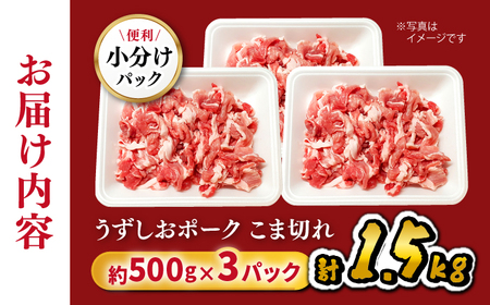 【 訳あり 】【使い勝手◎】 長崎うずしおポーク こま切れ 計1.5kg（500g×3P）＜スーパーウエスト＞[CAG015] 長崎 西海 ブランド豚 豚 豚肉 肉 国産豚 切り落とし 豚 切り落とし