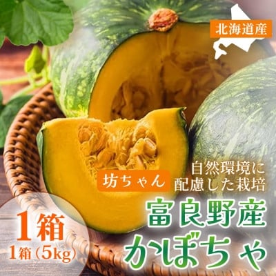 
                  ＜秋の味覚 北海道産小玉かぼちゃ＞坊ちゃんかぼちゃ 無選別5kg×1箱|北海道富良野市9～10月発送【1705331】
                