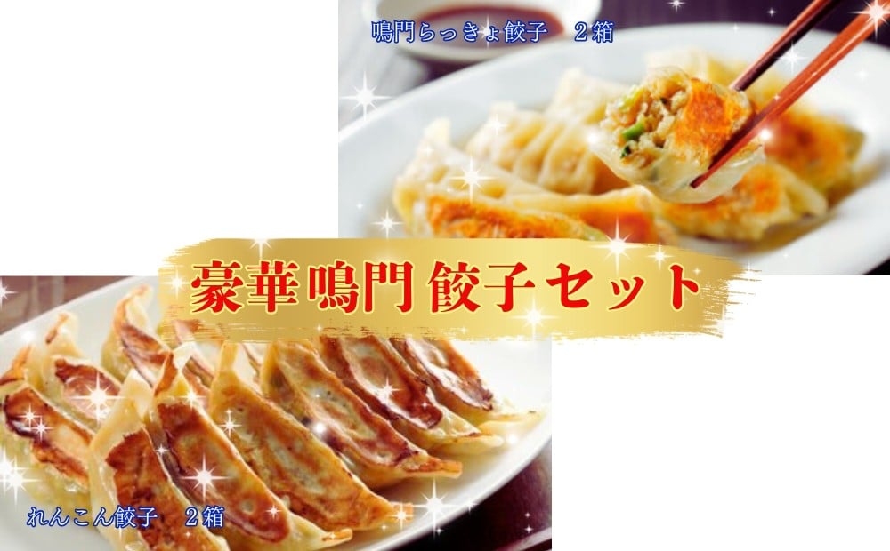 
            豪華鳴門餃子セット
          