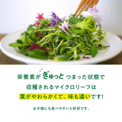 ふるさと納税 各務原市 マイクロリーフミックス【40g】&エディブルフラワーミックス【20輪】セット【931】 |  | 03