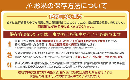 【新米予約・令和7年産】定期便3ヶ月：精米5Kg 契約栽培限定 南魚沼しおざわ産コシヒカリ【2025年10月上旬より順次発送予定】