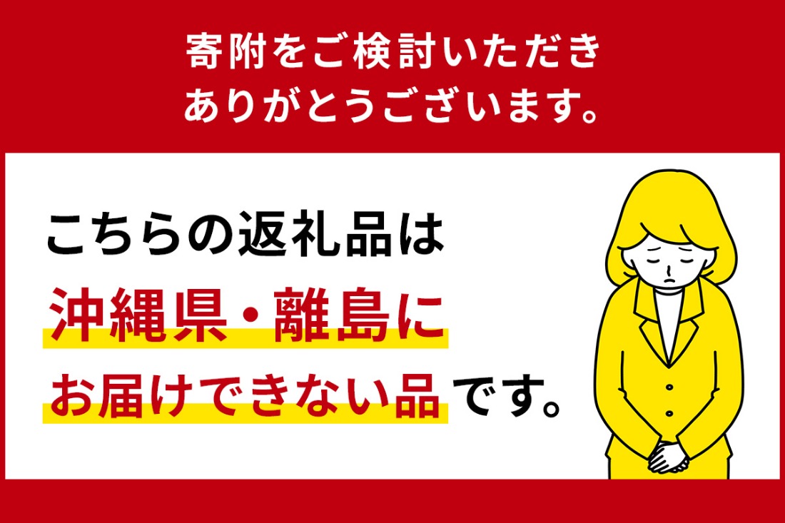 ns024-001 菊池いちご園　とちあいか　那須塩原市産　4パック入り