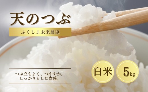 【白米】 5kg 天のつぶ 令和7年産 | 精米コメ ごはん ブランド米 お米 米 大粒 福島 福島県産 南相馬 ふくしま未来農協 JA ブランド米 お米 米  av001-ac