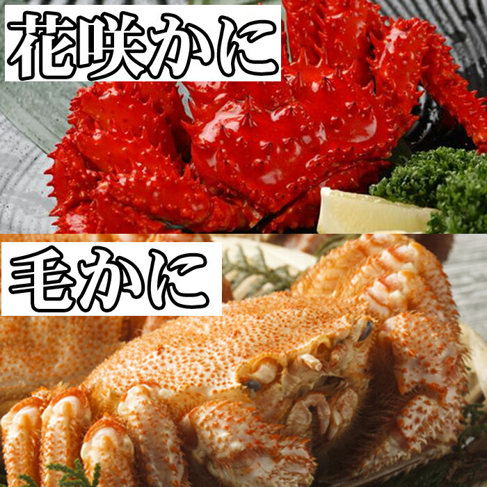 【ふるさと納税】毛かに・花咲かにセット (毛かに400g前後〜550g前後×1尾、花咲かに300g前後〜450g前後×1尾 ) (毛かに400g前後〜550g前後×1尾、花咲かに500g前後〜650g前後×1尾) かに カニ 蟹 毛ガニ 花咲ガニ 毛蟹 花咲蟹 北海道 根室市