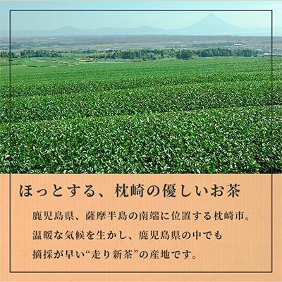 ふるさと納税 枕崎市 ほっこり煎茶 100g×3袋 A5-1 |  | 03