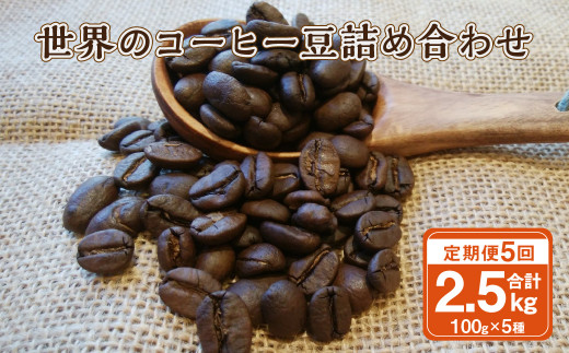 
【5ヶ月定期便】世界のコーヒー豆詰め合わせ 500g (100g×5種) コーヒー 珈琲 豆 セット
