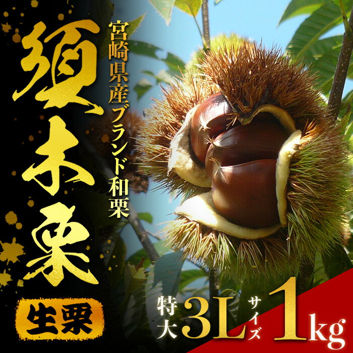 【ふるさと納税】【期間・数量限定】ブランド栗「須木栗」3Lサイズ 1kg程度（生栗 マロン 栗 果物 フルーツ 限定 秋 旬）