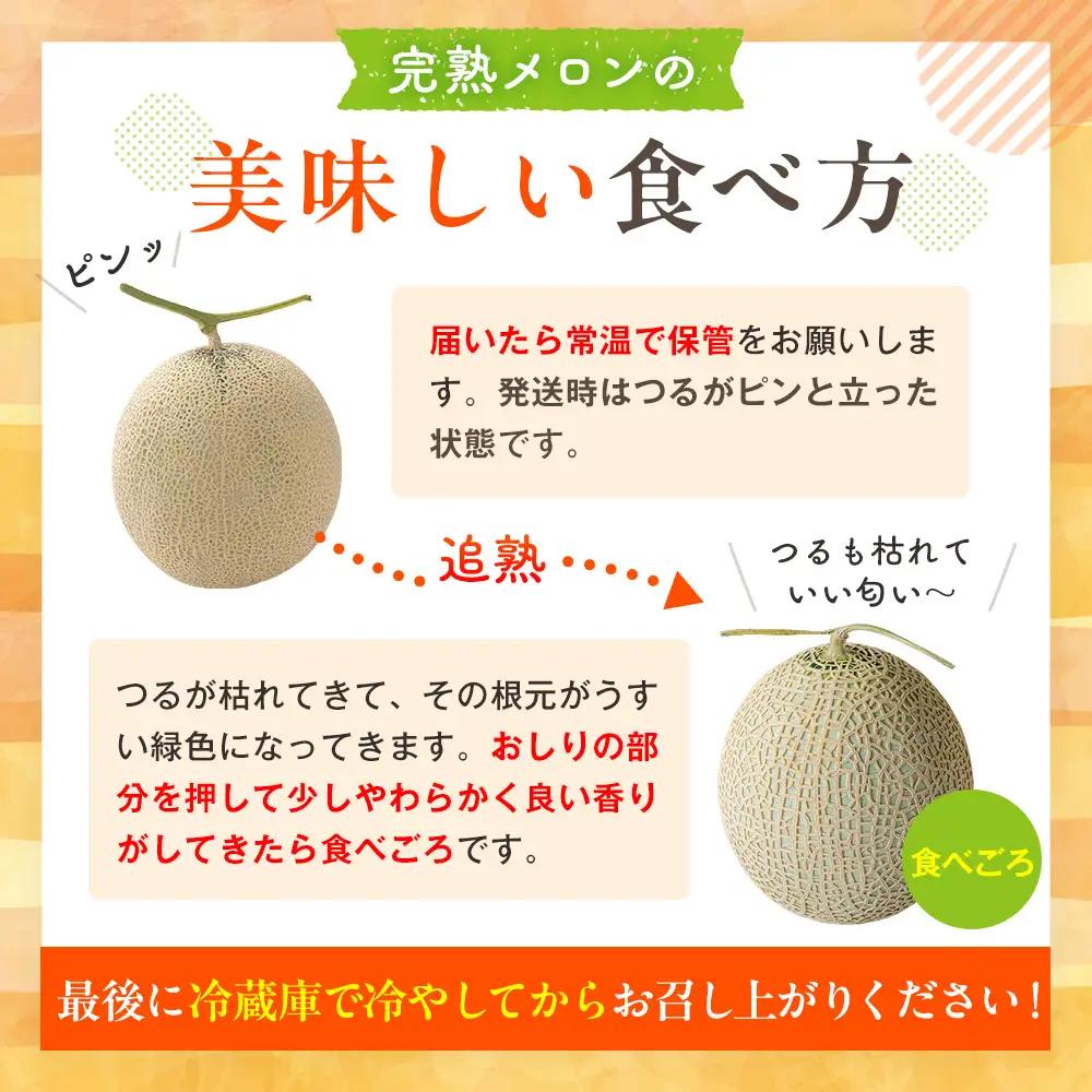 【R8年収穫分】【数量限定】さのさん家のメロン（L玉以上）２玉 湧き水栽培 さの農場 | 北海道津別町