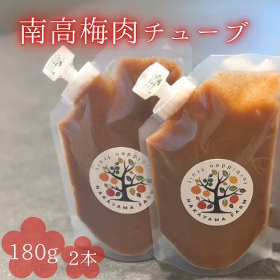 ふるさと納税 田辺市 南高梅肉チューブ 180g×2 【nak045-1】