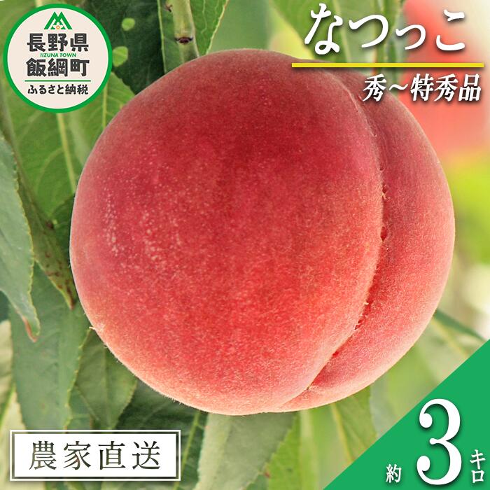 【ふるさと納税】 もも なつっこ 秀 〜 特秀 約 3kg 大垣農園 配送先は本州限定 令和7年度収穫分 長野県 飯綱町 〔 信州 果物 フルーツ モモ 桃 川中島 白桃 あかつき オリジナル品種 長野 17000円 予約 農家直送 〕発送時期：2025年8月中旬〜2025年8月下旬