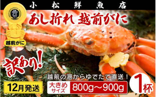 【訳あり】足折れ 越前がに 大きめサイズ × 1杯（800～900g）地元で喜ばれるゆで加減・塩加減で越前の港から直送！【雄 ズワイガニ ずわいがに 姿 ボイル 冷蔵 福井県】【12月発送分】希望日指定可 備考欄に希望日をご記入ください [e23-x013_12]