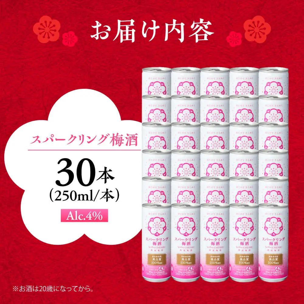 スパークリング梅酒 1ケース(250ml×30本入り) / 梅酒 本格梅酒 梅  / 日田市 / 株式会社おおやま夢工房[ARCW012]