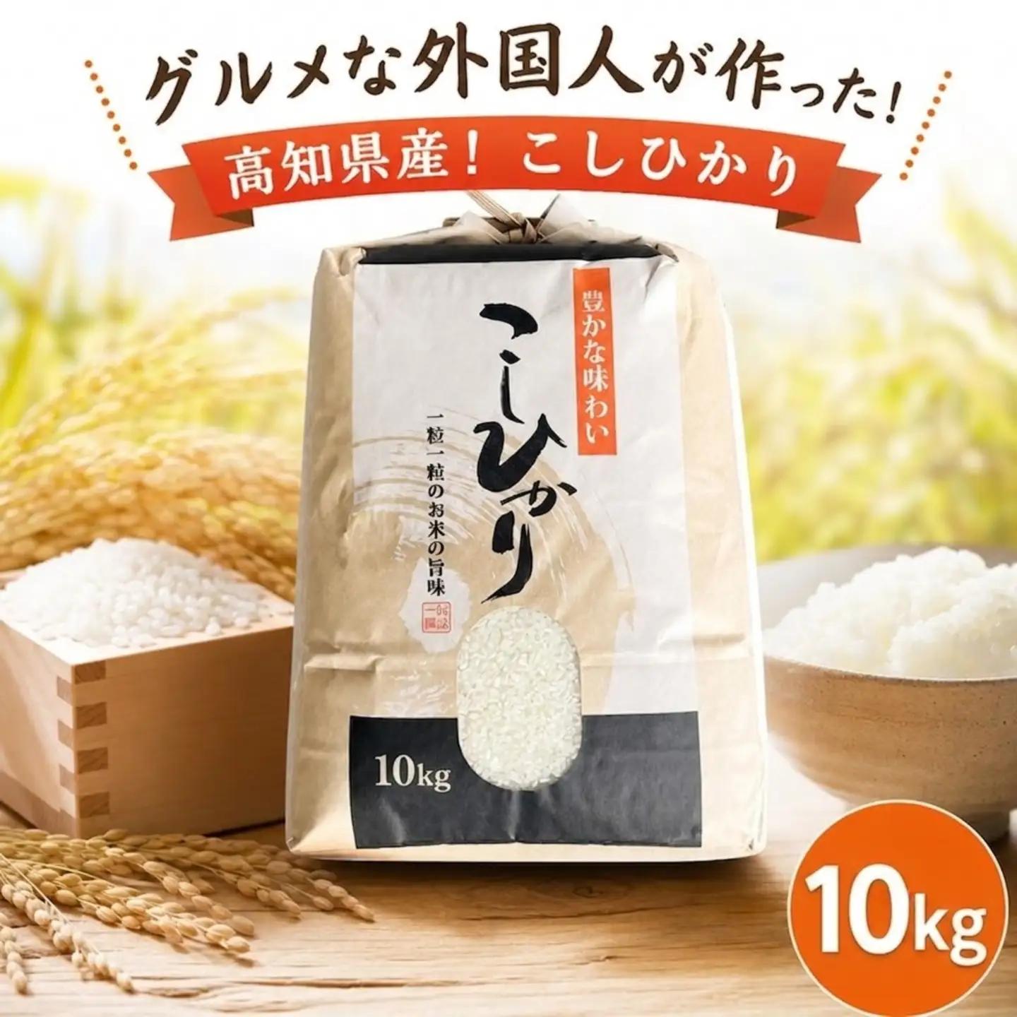 こしひかり 白米 10kg 2025年産［0941-6］