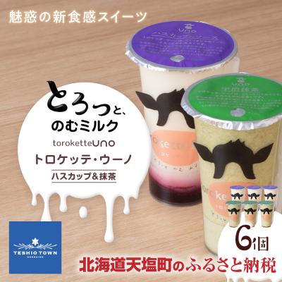 ふるさと納税 天塩町 トロケッテ・ウーノ ハスカップのソース&amp;抹茶のソース 計6個(宇野牧場)