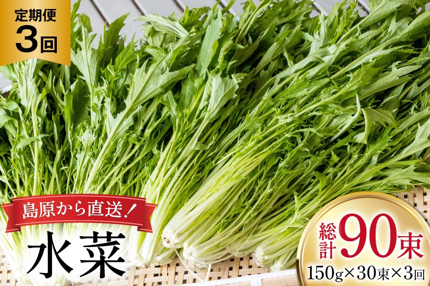 BI338 定期便 3回 水菜 30束 [ 野菜 みずな サラダ やさい 冷蔵 葉物野菜 田中農園 長崎県 島原市 ]