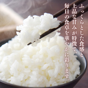 愛媛県産にじのきらめき10kg