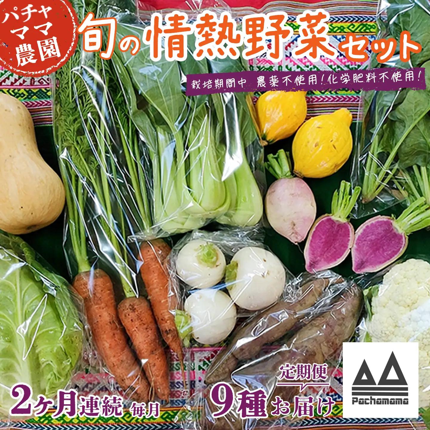 野菜 無農薬 農園自慢の情熱野菜セット 9種 【 2ヶ月 連続 お届け 】
