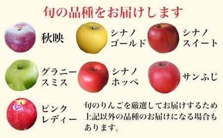 先行予約［訳あり］ 旬のりんご 約3kg 6～12玉 ［小布施屋］ 傷 規格外 不揃い 令和8年度産 【2026年12月配送】［A-304c］