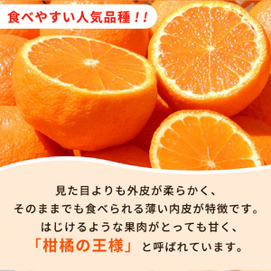 紀州有田産不知火(しらぬひ) 2.5kg※2025年2月中旬頃～2025年3月中旬頃に順次発送予定（お届け日指定不可）【uot794】