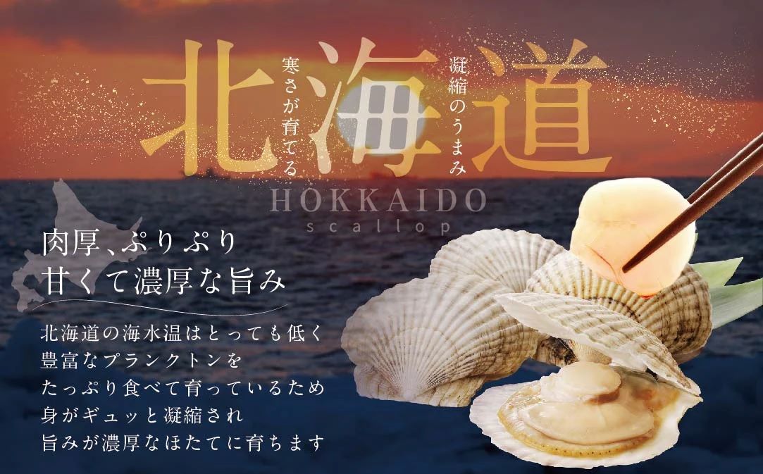 訳あり 北海道産冷凍ホタテ1.2kg（18～28粒前後×3箱）【MT0003TR0】（ ほたて ホタテ ホタテ貝柱 帆立貝 帆立貝柱 北海道 別海町 ふるさと納税 ）													