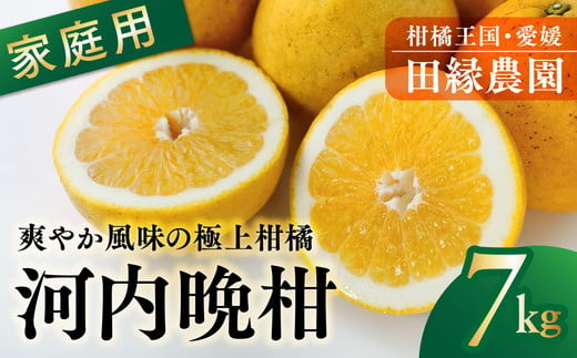 
            【先行予約】【家庭用】河内晩柑 7kg　※離島への配送不可　※2025年4月上旬頃に順次発送予定
          