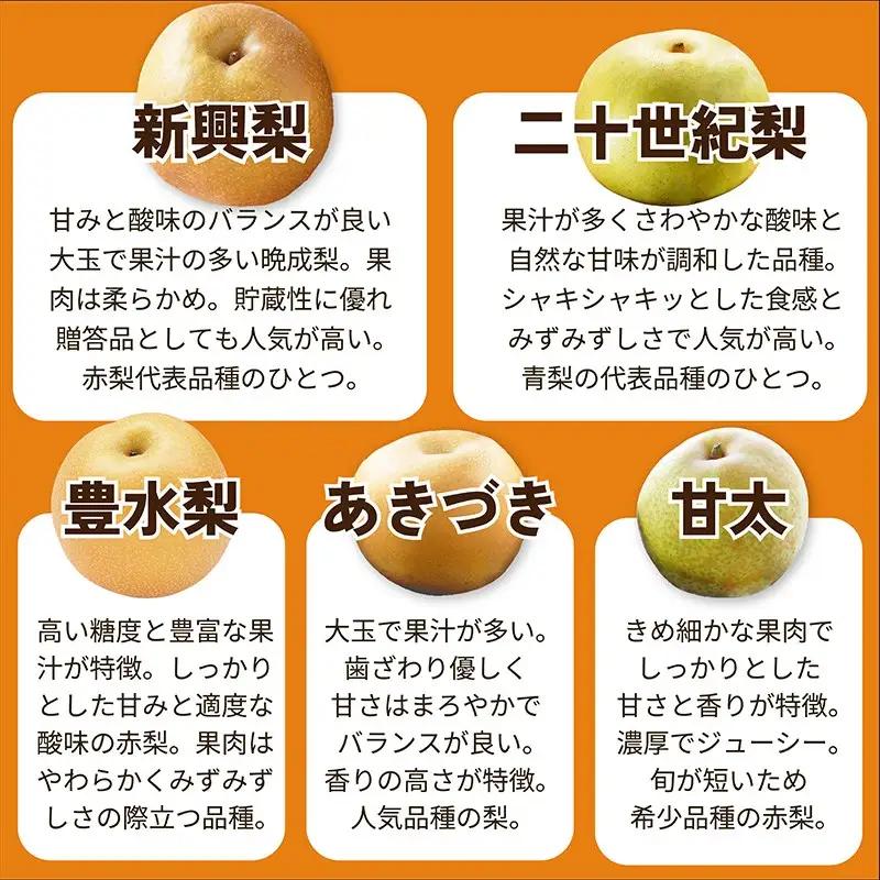 計３品種 梨定期便｜フルーツ梨