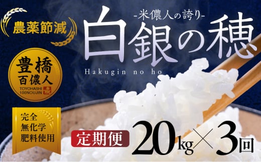 在庫残り1件！【定期便】米儂人の誇り 白銀の穂 20kg×3回 お米 おこめ 米 コメ kome 令和7年