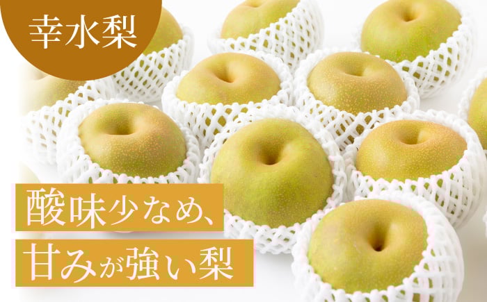 幸水梨 6～10玉 （約3kg）