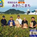 【ふるさと納税】【玄米】令和6年産 秋田県産 あきたこまち 環境保全米 6kg (3kg×2袋)