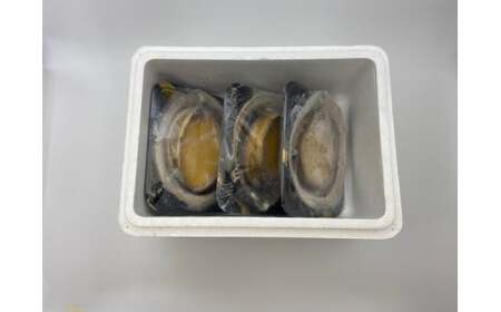 D208 冷凍蒸しアワビＡ