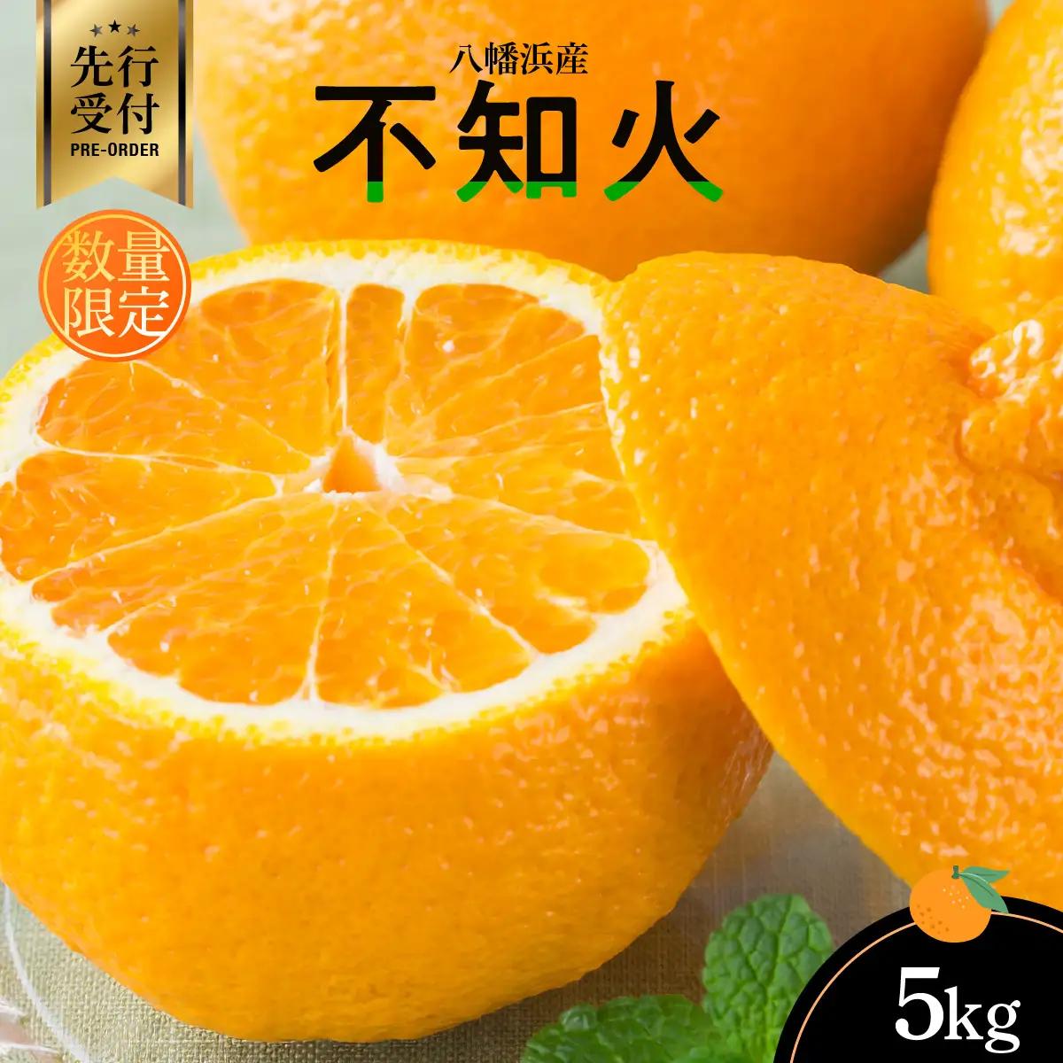 【先行受付】八幡浜産・不知火5kg[数量限定!]【D56-13】【1139909】 YWTAS007