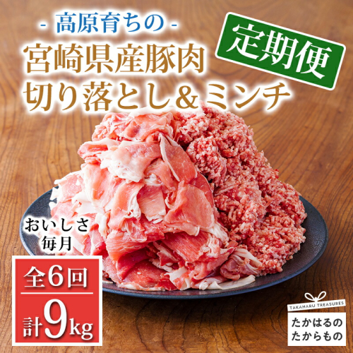 【定期便6回】 豚肉詰め合わせ《寄付金45,000円で合計9kg！》国産 豚肉切り落とし＆豚肉ミンチ 大容量2種セット 合計9000g ワンストップオンライン対応 TF0769-P00070