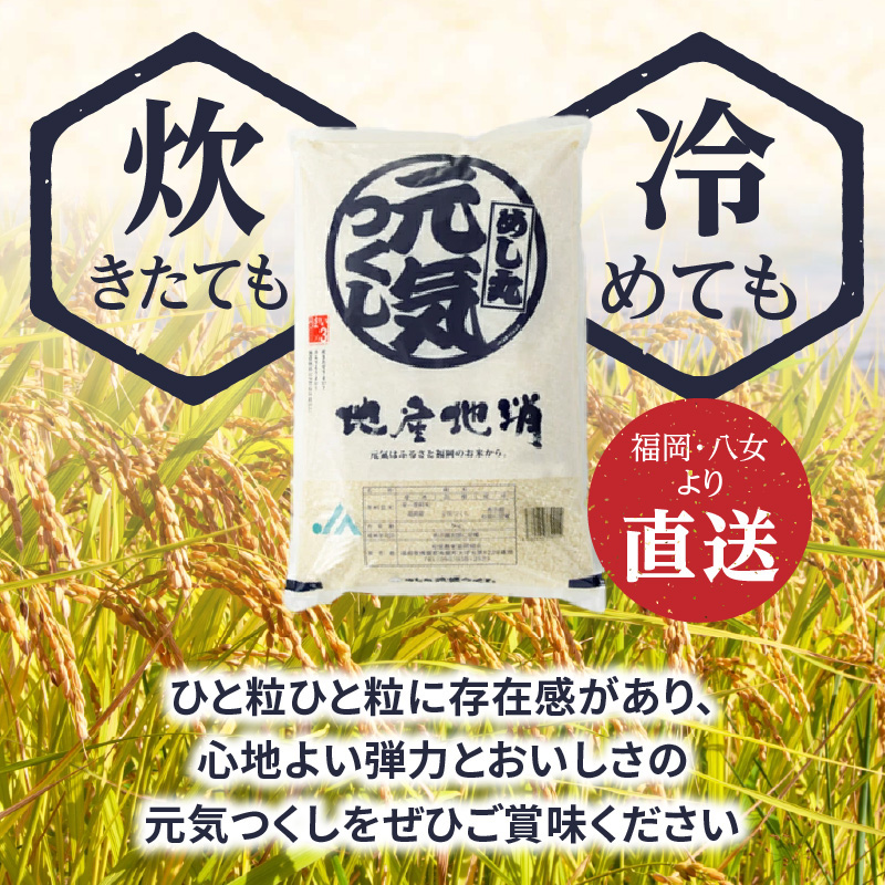 九州・福岡からお届け！ブランド米「元気つくし」定期便【全12回】＜配送不可：北海道・沖縄・離島＞