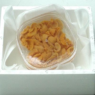 ふるさと納税 根室市 【年内配送可】エゾバフンウニ(黄色)塩水P100〜110g C-56019 |  | 02