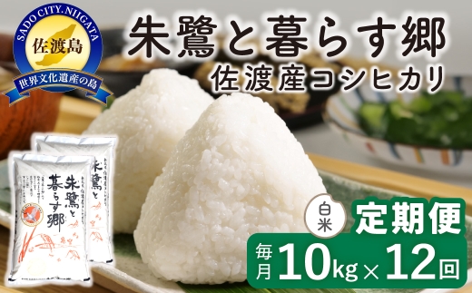 【定期便 令和8年産新米 12か月】 佐渡島産コシヒカリ 白米 10kg 令和8年産新米 特別栽培米 | 新潟県産コシヒカリ 新潟産コシヒカリ 佐渡産コシヒカリ 新潟県産こしひかり 佐渡産こしひかり お米 米 こしヒカリ 白米 精米 おこめ コメ 10キロ にいがた さど 新潟県 佐渡市