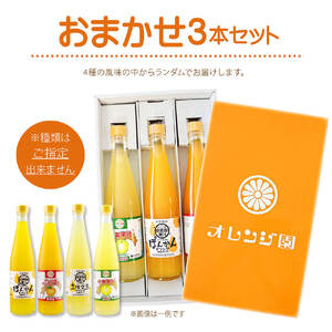 オレンジ園の濃縮ジュース 500ml おまかせ3本入り 希釈用 【R01121】